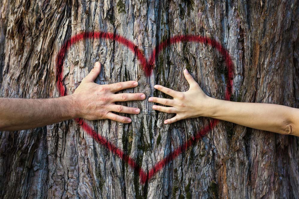couples tantra retreat bookings couples tantra retreat bookings