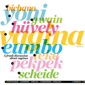 jacqueline hellyer media